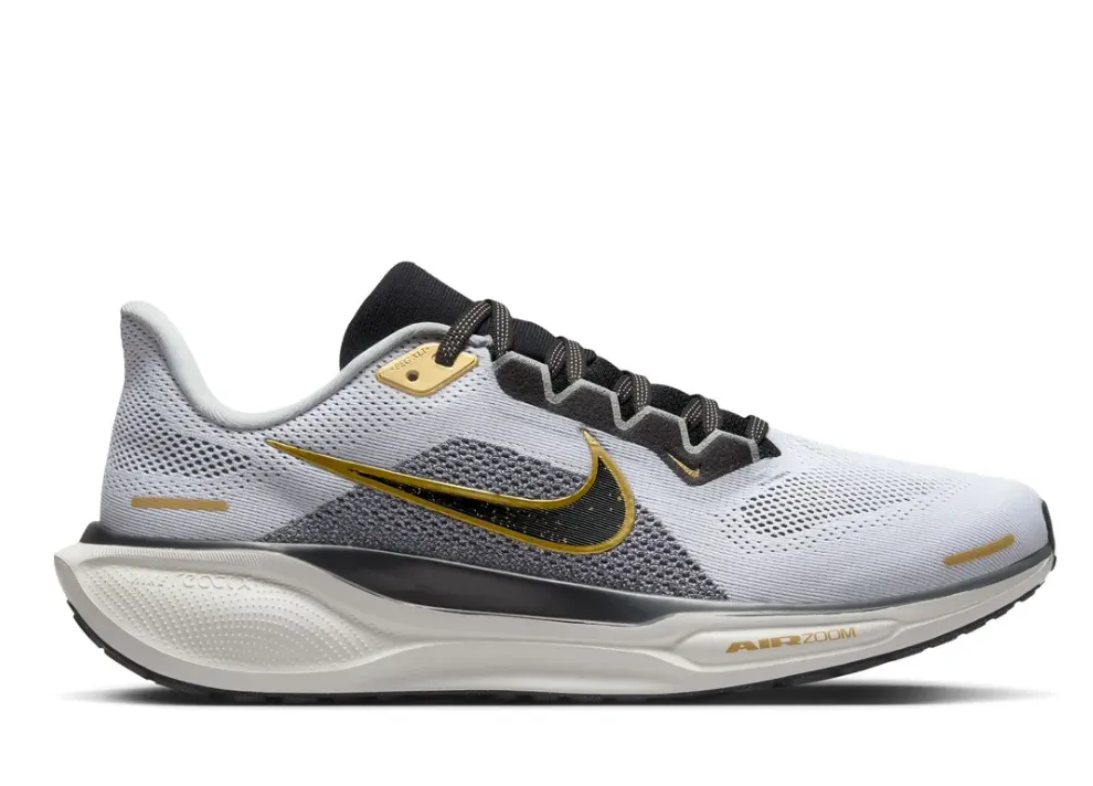 air zoom pegasus mens